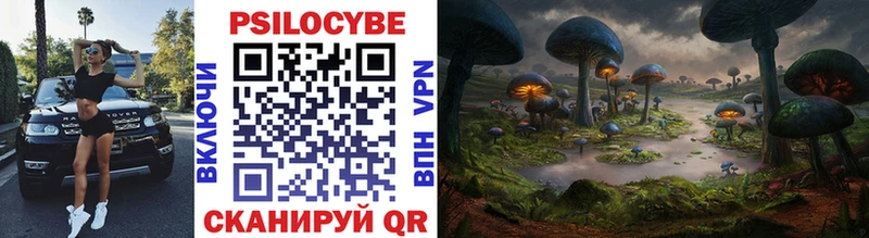 Купить где  Кушва  Псилоцибиновые грибы Psilocybe 